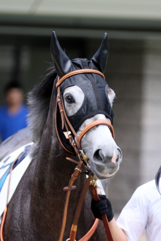 2014.6.29 東京4R 3歳未勝利 ピエリーナ