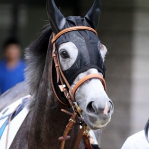 2014.6.29 東京4R 3歳未勝利