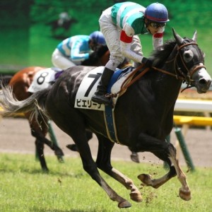 2014.6.29 東京4R 3歳未勝利