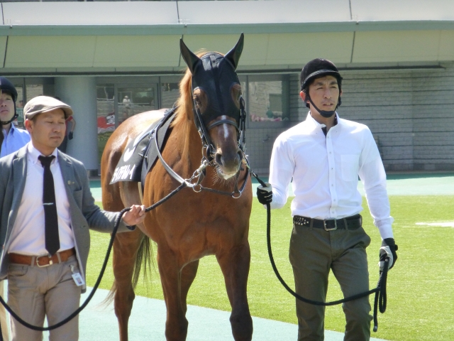 ９R石和特別パドック　Ⅰ ディアデルレイ