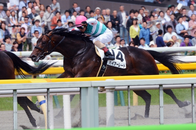 3歳500万下 ハイアーレート