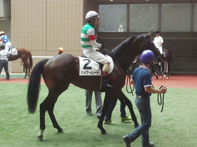新馬戦パドック ハイアーレート