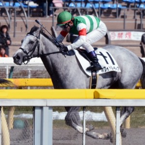 3歳未勝利