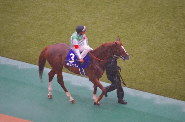 パドック　シュタルケ騎手騎乗 ネオリアリズム