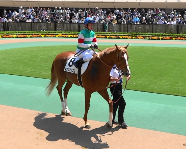 14.4.27未勝利パドック ネオリアリズム