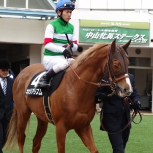 15.3.14中山芝2,000ｍ館山特別①