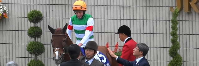 マイルCS16.11.20 ネオリアリズム