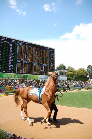 3歳未勝利　4/6 ネオリアリズム