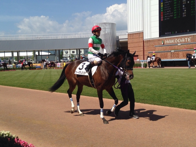 ダート2戦目パドック ヴィータアレグリア