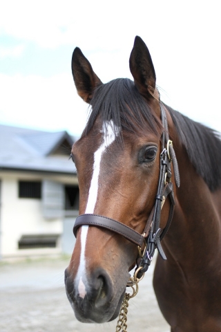 2013.6.22　NF天栄 ヴィータアレグリア