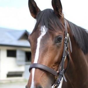 2013.6.22　NF天栄