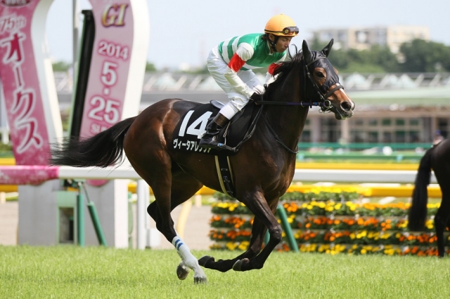 2014.5.24 東京9R カーネーションC ヴィータアレグリア