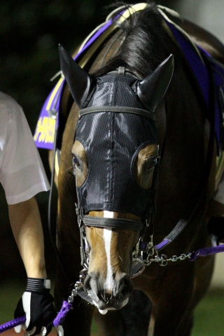 2016.7.6 川崎競馬場 スパーキングレディーカップ ヴィータアレグリア