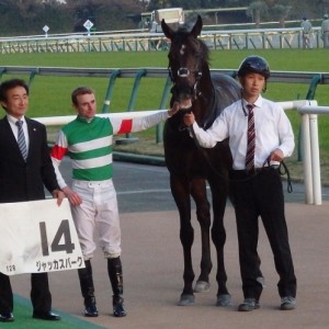 11/16東京１２R　ウィナーズサークル