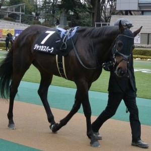 立春賞パドック