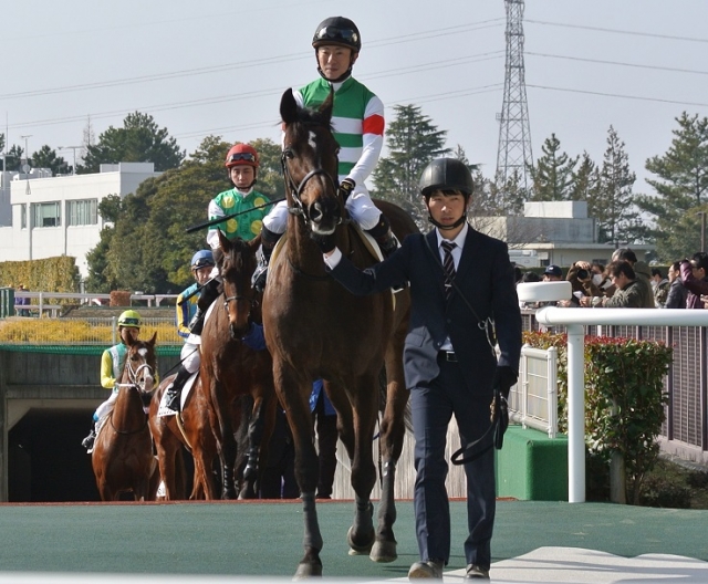 初障害　馬場入場 ジャッカスバーク