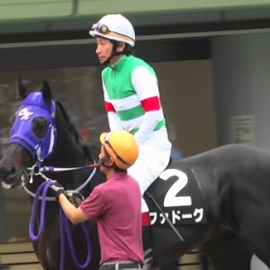 日野特別　パドック②