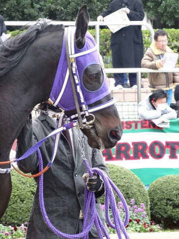 初茜賞2016② ファドーグ