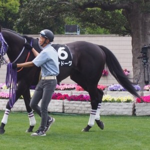 桃山Ｓパドック