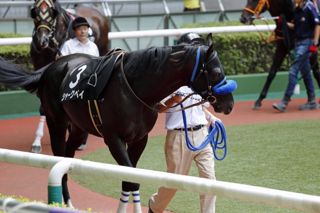 2015年7月25日　三陸特別 シャークベイ