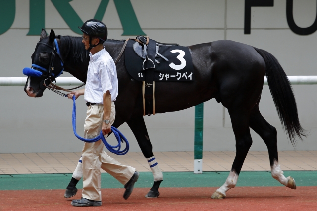 2015年7月25日　三陸特別 シャークベイ