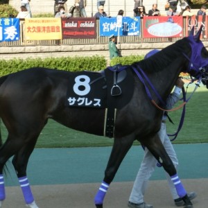 2013/11/17　東京　からまつ賞