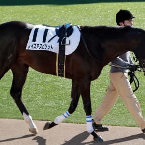 2013年12月15日　未勝利戦