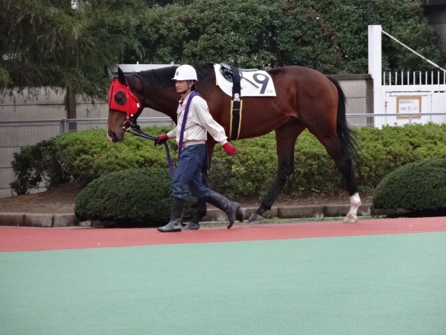 Ｃ１(六)(七)　パドック エンジェルピース