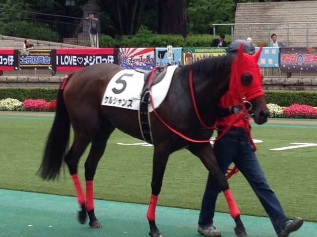 6月27日 東京競馬場 500万円下 ケルシャンス