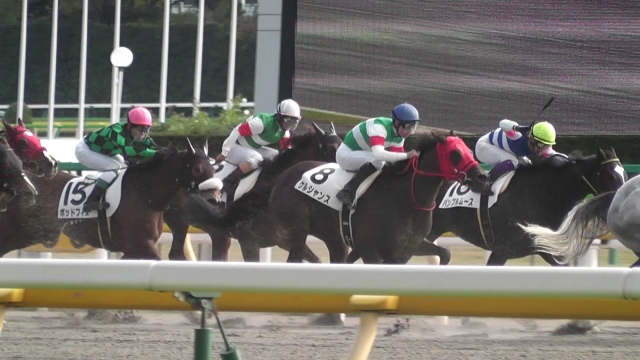 2015.11.21 東京6R 最後の直線 ケルシャンス