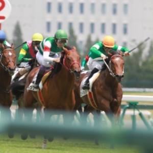 メイクデビュー　　ゴール前