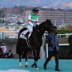 2歳新馬