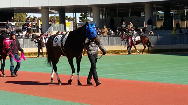 中京競馬場 ハンマークラビア