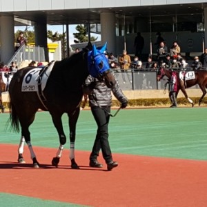 中京競馬場