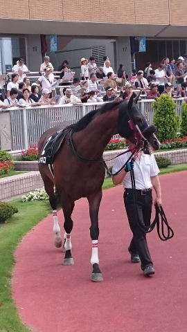 ＢＳＮ賞 ピオネロ