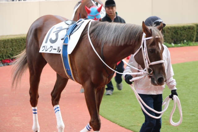 4戦目パドック⑤ ヴレクール
