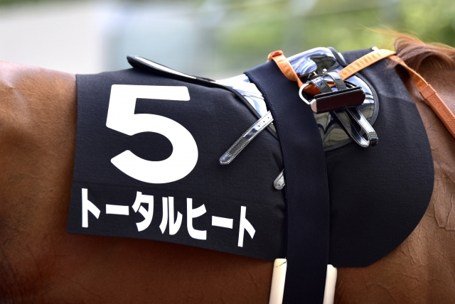 エニフS　2016-0910 トータルヒート