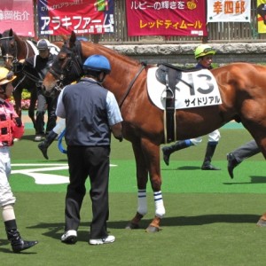 第２戦目パドック