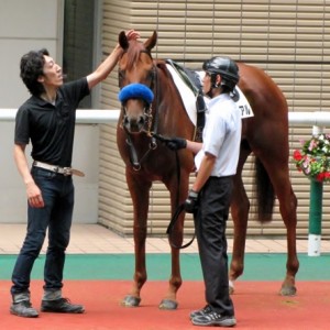 とまれ・・・も