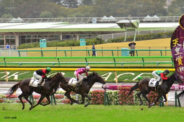 未勝利１戦目 オールデフィート