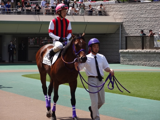 1000万下パドック ウインフェニックス