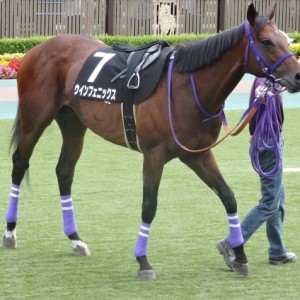 国分寺特別パドック