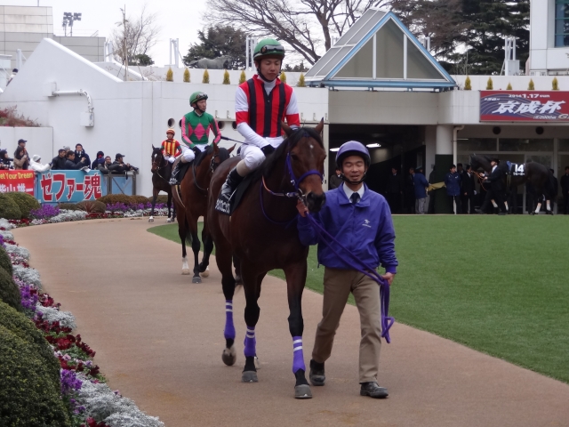 初富士ステークス　パドック ウインフェニックス
