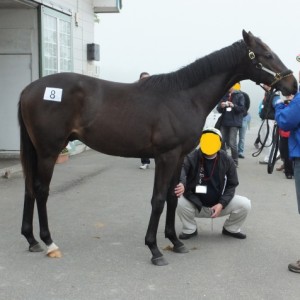 2012ＣＶＦ＆ＢＲＦツアー