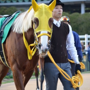 シンザン記念出走
