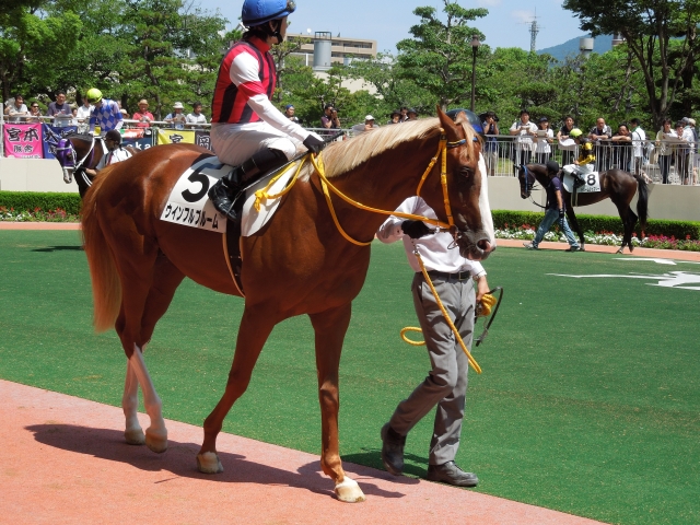 メイクデビュー小倉その３ ウインフルブルーム