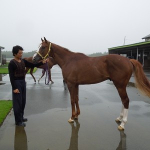 鉾田にて（6/8）その１