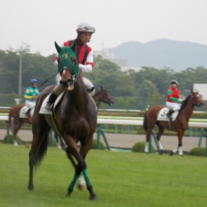 本馬場入場