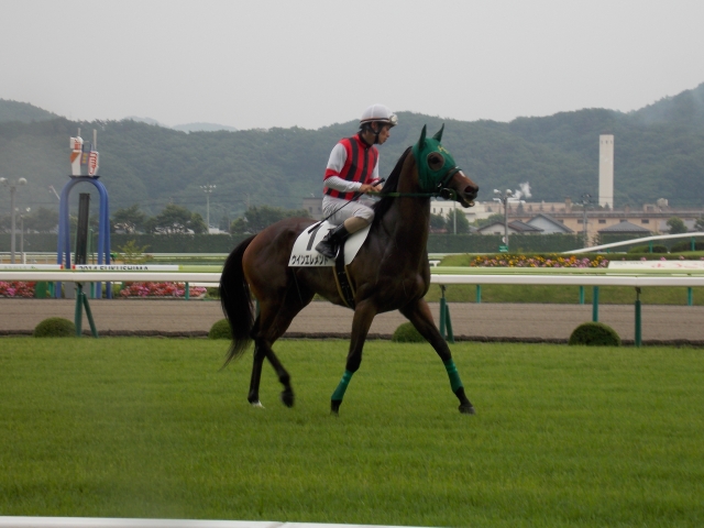 悔しい２着でした ウインエレメント