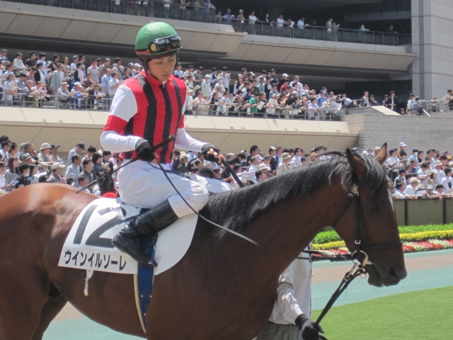 石橋と一緒に ウインイルソーレ